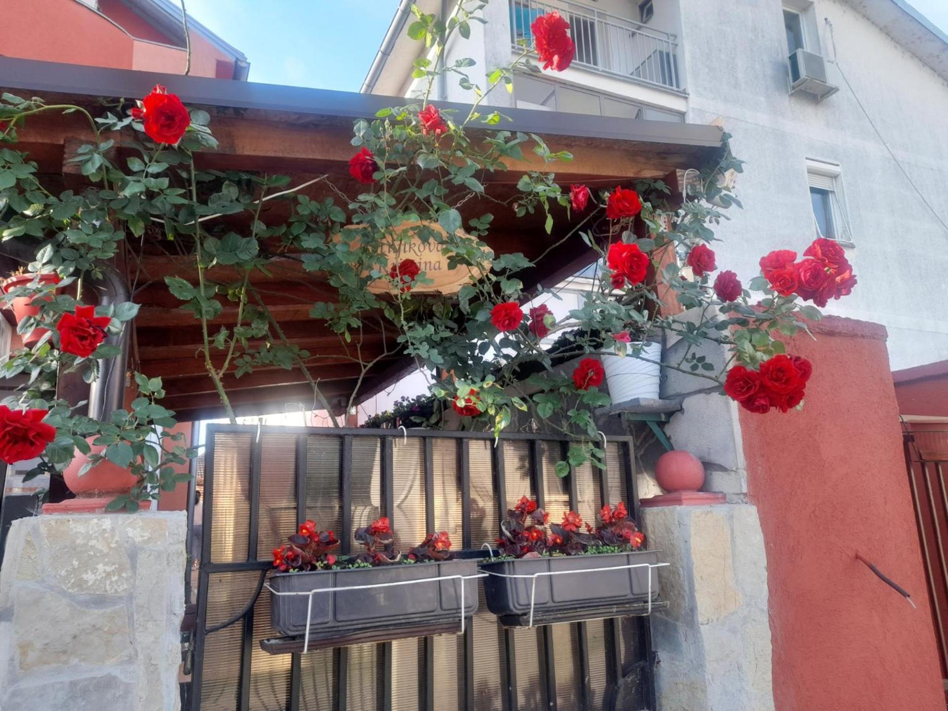Guest House Mirijevski Konak 베오그라드 외부 사진